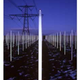 Illustration for article titled 1,301 Florescent Bulbs Lit Solely by Magnetic Fields